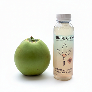 Osvěžení z mladého zeleného kokosu